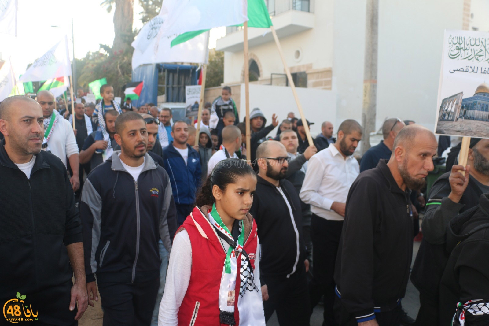 yaffa modahara jeq (57).jpg